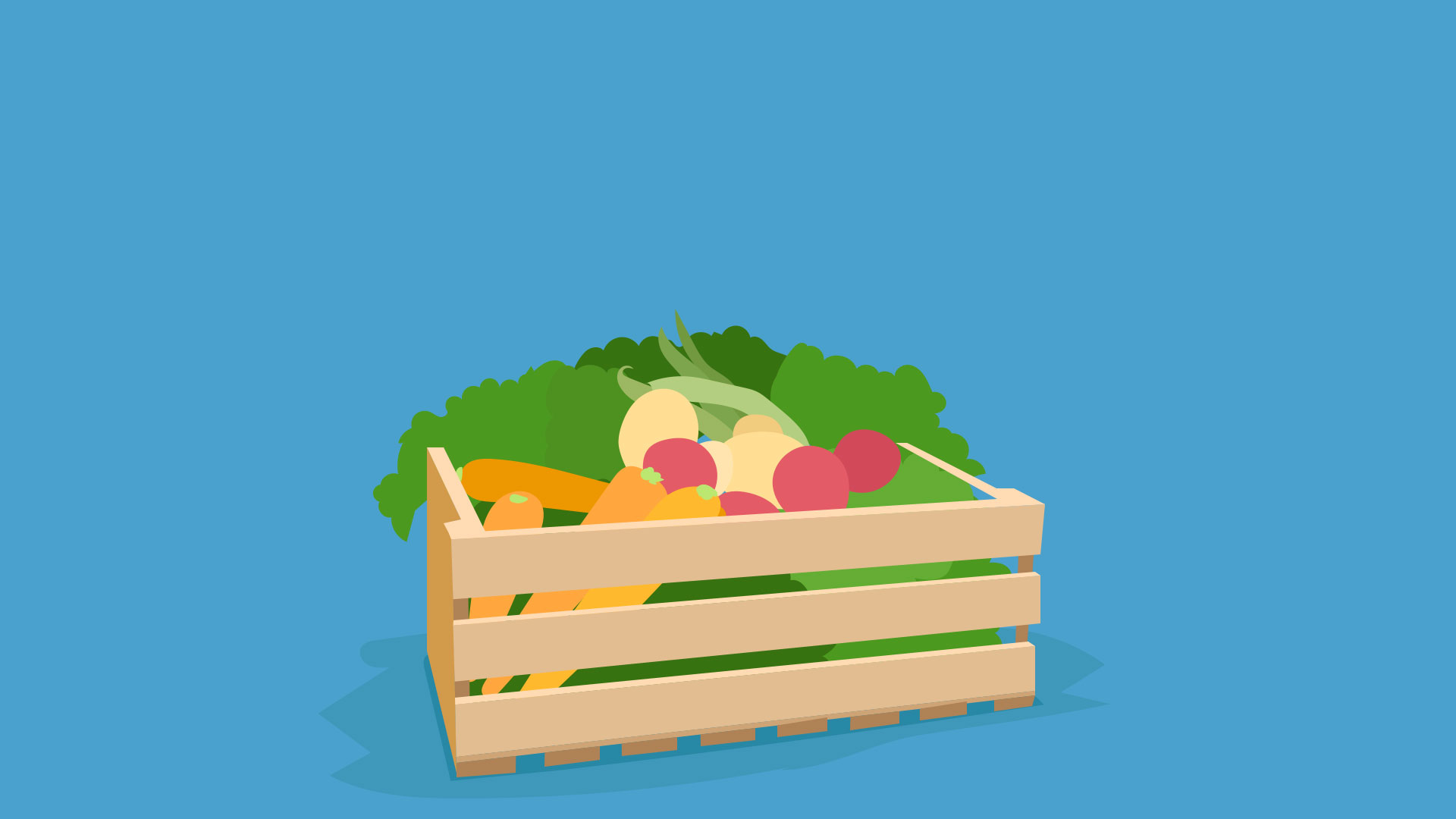 Right to food still - box of food.jpg
